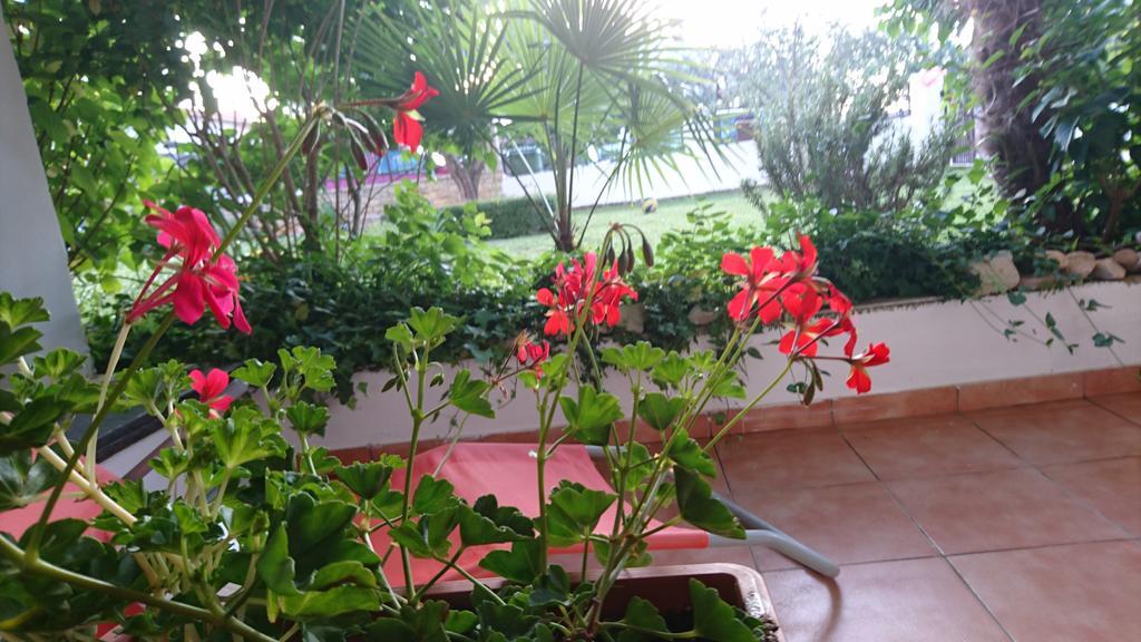 Apartment Devcic Porec Esterno foto